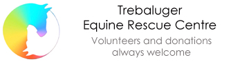 Equine Rescue Sidebar